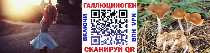 Галлюциногенные грибы MAGIC MUSHROOMS  дарк нет наркотические препараты  Сосновоборск 